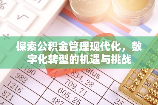 应城探索公积金管理现代化，数字化转型的机遇与挑战