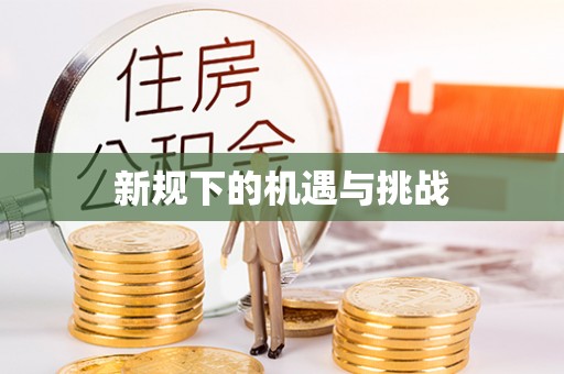 应城新规下的机遇与挑战