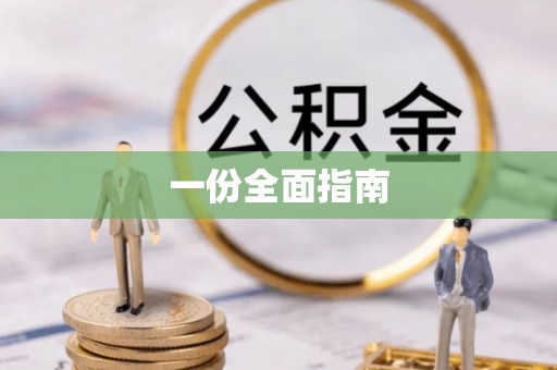 应城一份全面指南