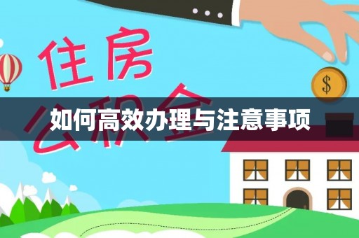 应城如何高效办理与注意事项