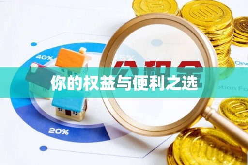 应城你的权益与便利之选