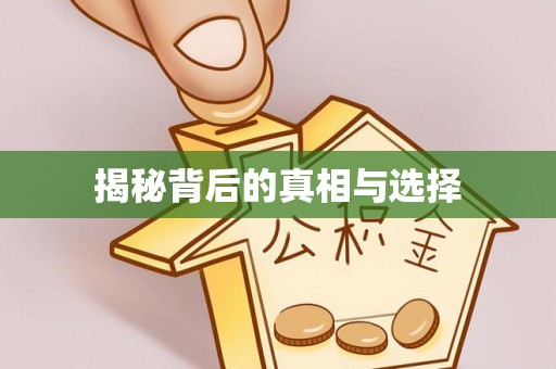 应城揭秘背后的真相与选择
