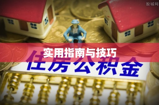 应城实用指南与技巧
