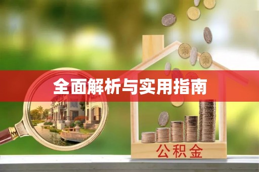 应城全面解析与实用指南