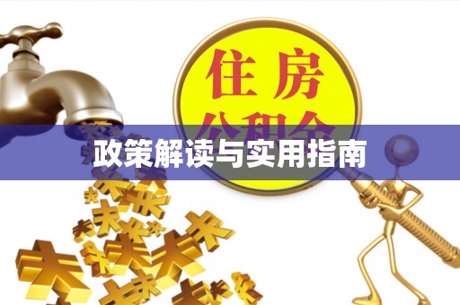 应城政策解读与实用指南