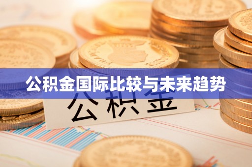 应城公积金国际比较与未来趋势