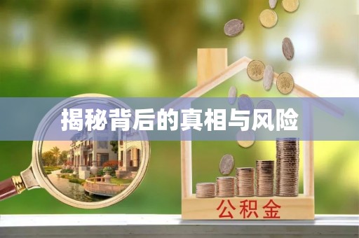 应城揭秘背后的真相与风险