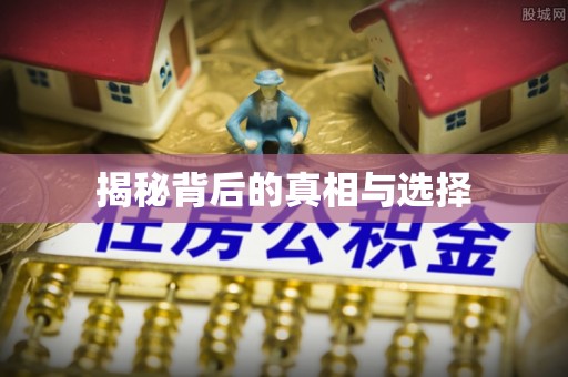 应城揭秘背后的真相与选择