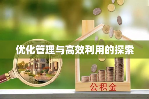 应城优化管理与高效利用的探索