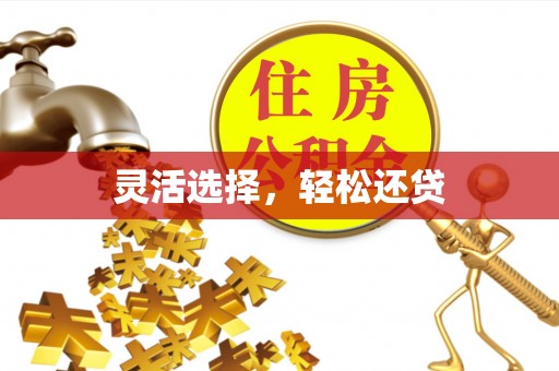 应城灵活选择，轻松还贷