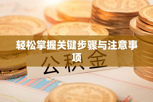 应城轻松掌握关键步骤与注意事项