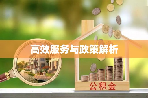 应城高效服务与政策解析