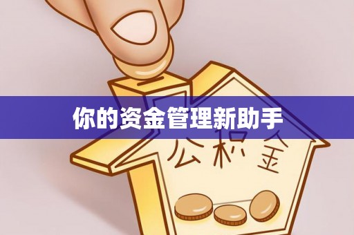 应城你的资金管理新助手
