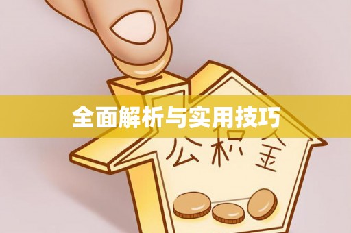 应城全面解析与实用技巧