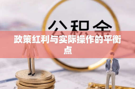 应城政策红利与实际操作的平衡点