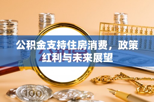 应城公积金支持住房消费，政策红利与未来展望