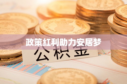 应城政策红利助力安居梦