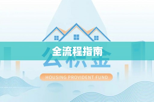 应城全流程指南