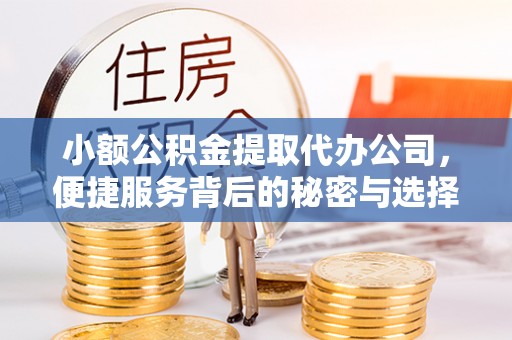 应城小额公积金提取代办公司，便捷服务背后的秘密与选择指南