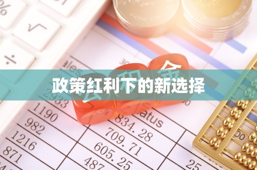应城政策红利下的新选择