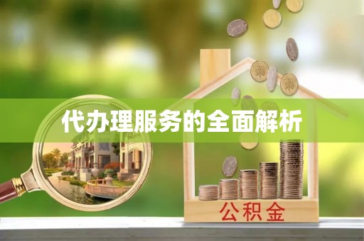 应城代办理服务的全面解析