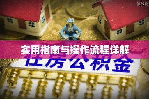 应城实用指南与操作流程详解