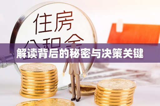 应城解读背后的秘密与决策关键