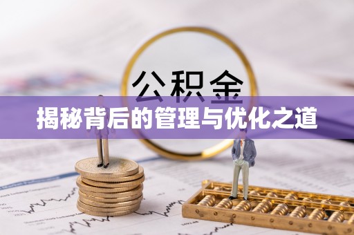 应城揭秘背后的管理与优化之道