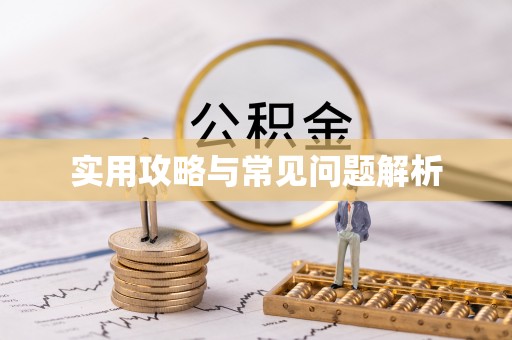 应城实用攻略与常见问题解析