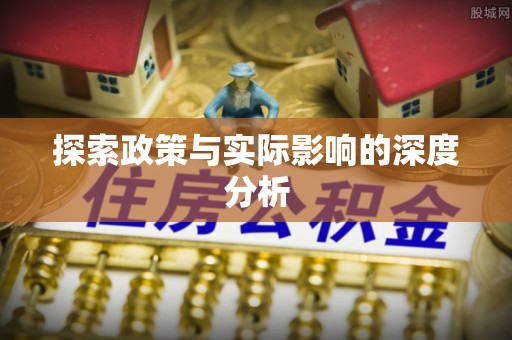 应城探索政策与实际影响的深度分析