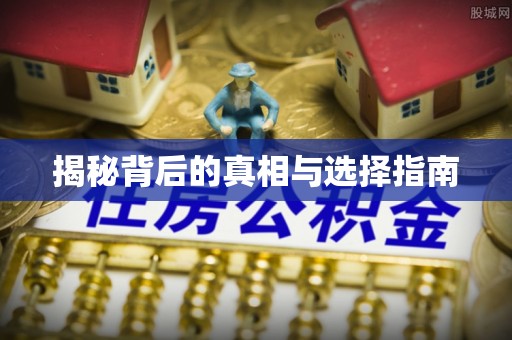 应城揭秘背后的真相与选择指南