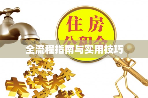 应城全流程指南与实用技巧