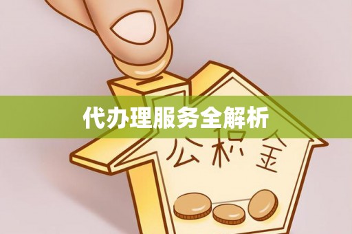 应城代办理服务全解析