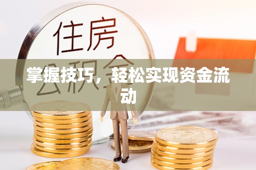 应城掌握技巧，轻松实现资金流动