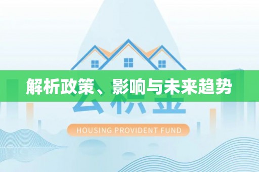 应城解析政策、影响与未来趋势