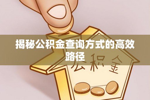 应城揭秘公积金查询方式的高效路径