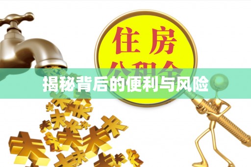 应城揭秘背后的便利与风险
