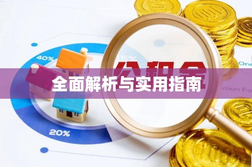 应城全面解析与实用指南