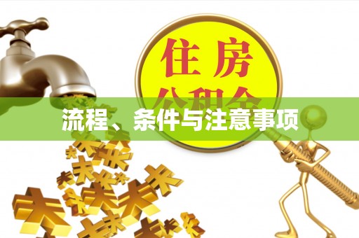 应城流程、条件与注意事项